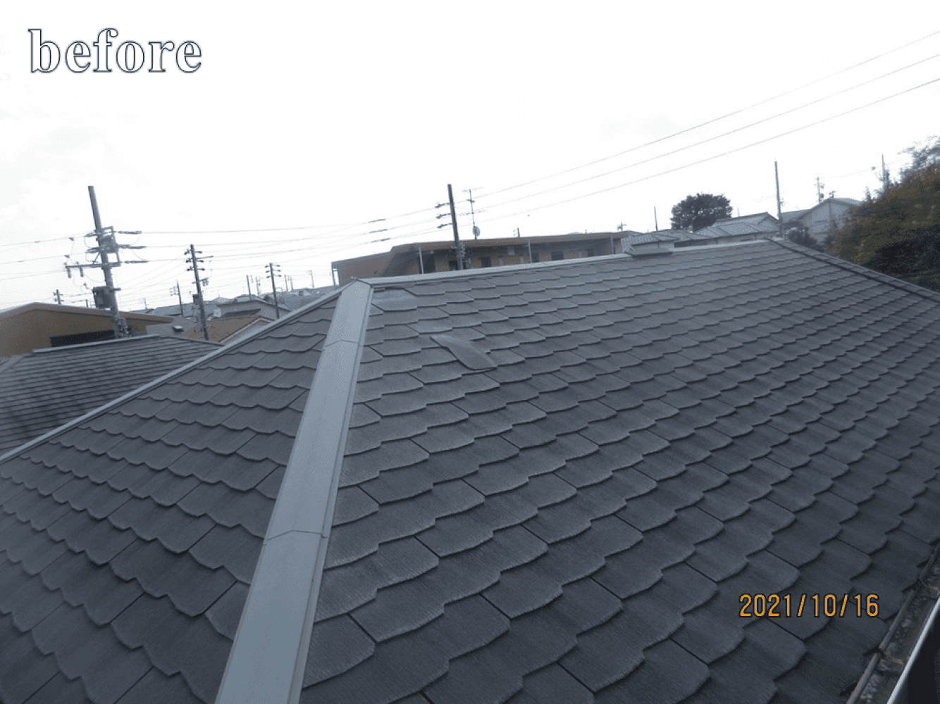B1 (1).png