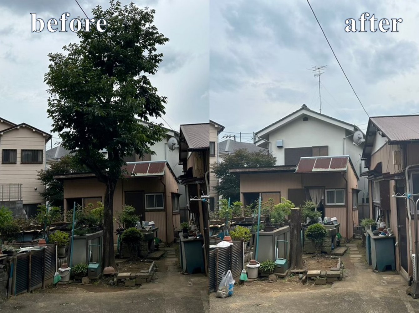 アイキャッチ.jpg