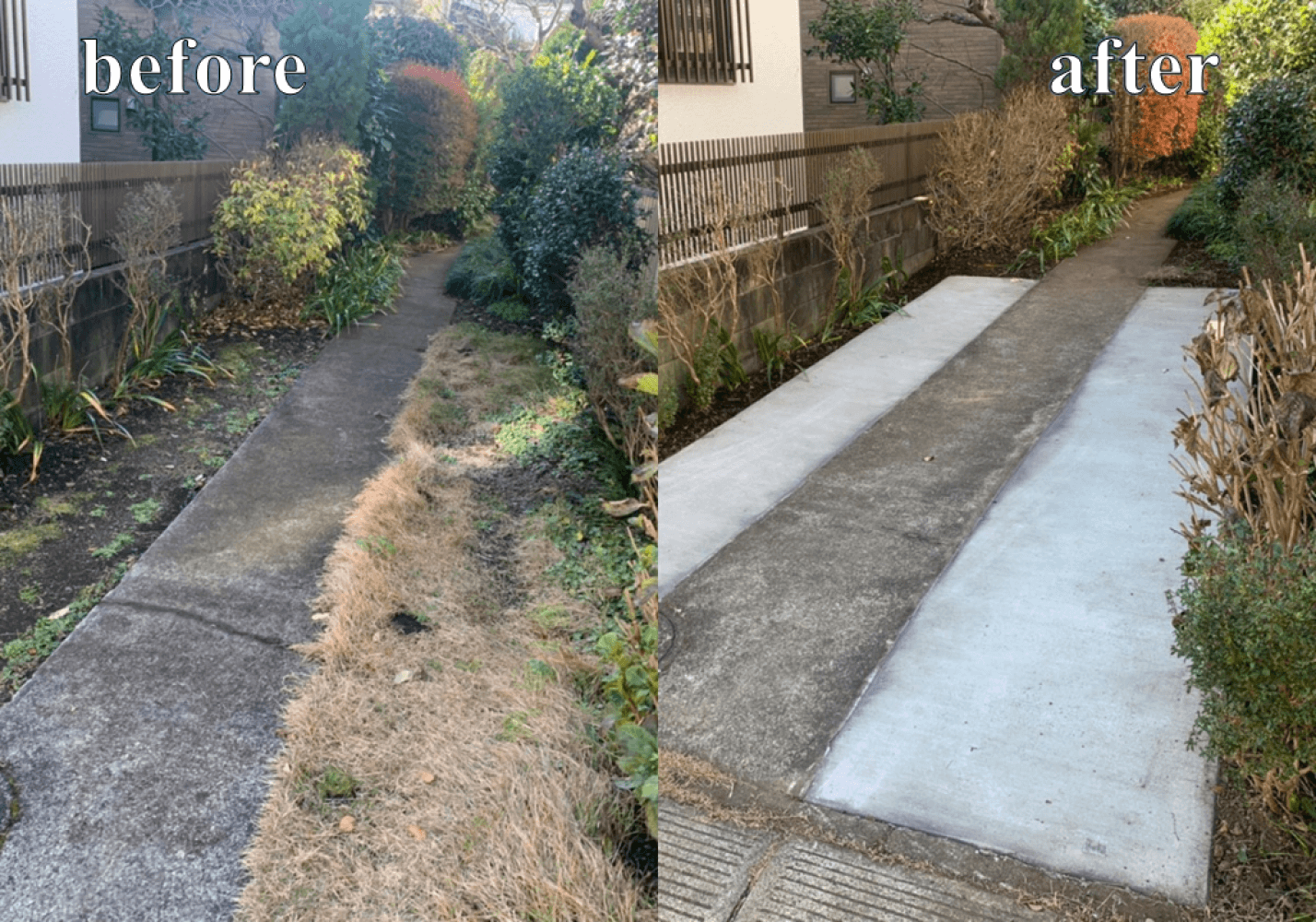 アイキャッチ (4).png